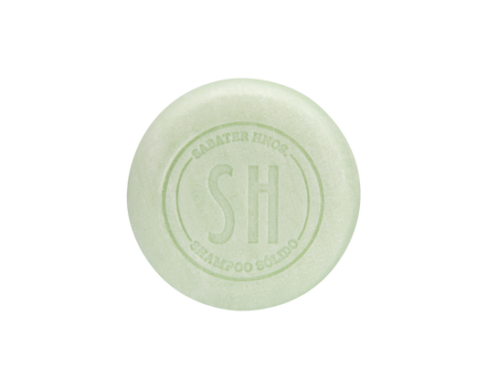 Solid shampoo for dry hair